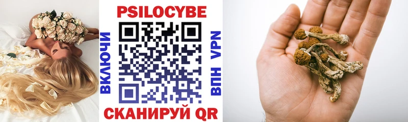 купить наркоту  Сухой Лог  МЕГА вход  Псилоцибиновые грибы Cubensis 