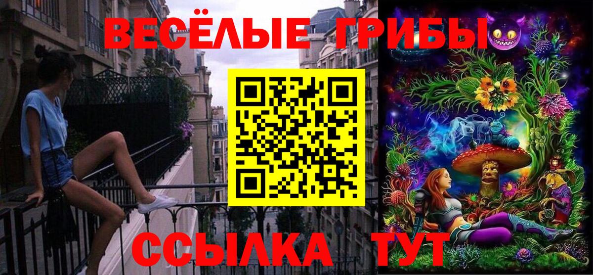 Сухой Лог  Вейп ТГК  Купить наркотики  Каннабис  МЕФ  COCAIN  Меф МЯУ МЯУ кристаллы  Вход с VPN  ГАШИШ 